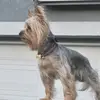 Dylan - @dylanfixouo - TikTok