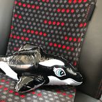 Dylan Flaherty 🐳🅱️🅾️🅾️ - @whaleyboo30 - Instagram