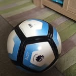 Dylan Foreman - @dforeman2902 - Instagram