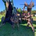 Dylan Fortier - Facebook