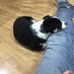 Dillon Foss - Facebook