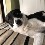 Dylan Franklin - @_dylan_franklin_ - Instagram