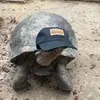 Dylan - @dylan.fricke - TikTok
