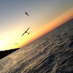 Dylan Fricker - @dylanfricker - Instagram