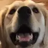 Your mom - @dylans_friend_will - TikTok