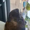 Dylan Fritz - @dylan.fritz07 - TikTok
