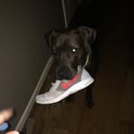 @dylan_funkle - Instagram
