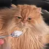 Dylan Gaither - @dylan.gaither - TikTok