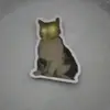 tamarindo - @dylan.gallardo06 - TikTok