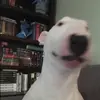 Dylan Garber - @dylan.garber - TikTok
