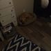 Dylan Gatlin - Facebook