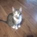 Dylan Gatlin - Facebook