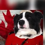 Dylan German - @dylanstillnotgerman - Instagram