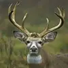 gibb.dylan - @gibb.dylan - TikTok