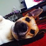 Dylan Giddings - @dylan_loves_scootscoots - Instagram