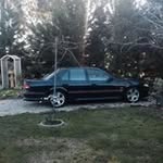 Dylan Giddings - @dylan_giddingss - Instagram