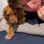 Dylan Goldman - @dylangoldman_15 - Instagram