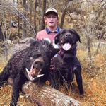 Dylan Goldman 🐗 - @dylangoldman1 - Instagram