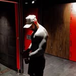 Dylan Bonnevie - @dylangoodlife - Instagram