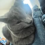 Dylan Gregory - @my_name_is_dylan0 - Instagram