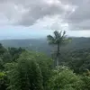 dylangregory173 - @dylangregory173 - TikTok