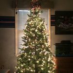 Dylan Griggs - @dylan.griggs - Instagram