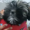 ️Dylan - @dylangutierrez413 - TikTok