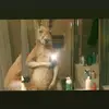 Dylan Gutierrez - @dylan.gutierrez10 - TikTok