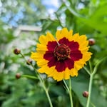 Dylan Hagerman - @dehagerman1 - Instagram