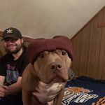 Dylan Hamm - @byhamm55 - Instagram
