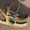 Dylan Hampton - @dylan.hampton3 - TikTok