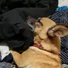 Dylan Hampton - @dylan.hampton2 - TikTok