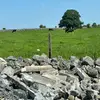 Dylan Hanley - @dylan.hanley10 - TikTok