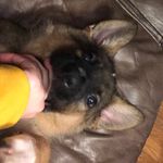Dylan Hanley - @dylanhanley_1234 - Instagram