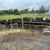 Dylan Hanley - @dylanh461 - TikTok