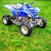 Dylan Harding - @dylanharding4 - TikTok
