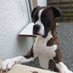 Dylan Hatton - @dylan.hatton.79 - Instagram