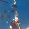 Dylan Healey - @2176271678 - TikTok