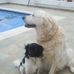 Dylan Heaney - Facebook