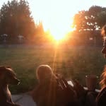 Dylan Heatherly - @dr.dabber7i0 - Instagram