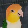 Dylan De Heide - @dylan.de.heide - TikTok