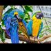 Dylan Heine - Facebook