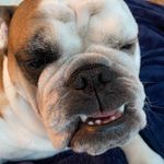 Dylan Heinrich - @heinrich_dylan - Instagram