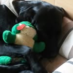 Spikey! - @dylan_heinsmann_ - Instagram