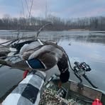 Dylan Heller - Facebook