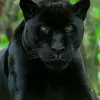 dylanherrartevasq - @dylanherrartevasq - TikTok