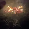Your local redneck 🇺🇸🦌 - @dylan.herrin - TikTok