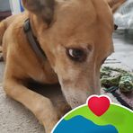 Dylan Herrmann - Facebook