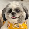 Dylan, Hershey, Sky ✨ - @dylanhersheysky - TikTok