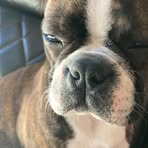 Dylan Hibbard - Facebook